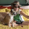 Puppy Love - Hunde zum Verlieben