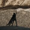 Dune: Part Two