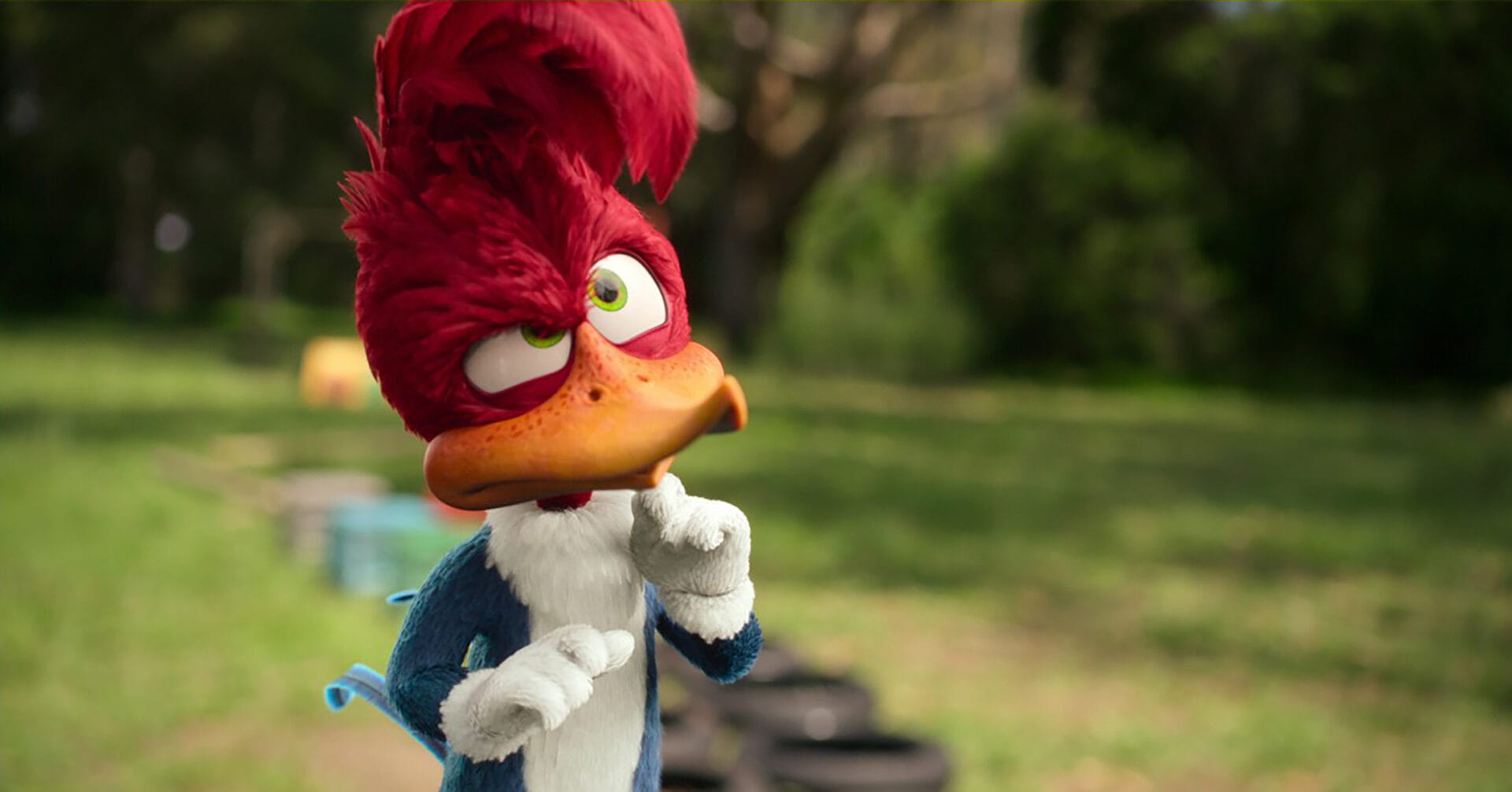 Woody Woodpecker geht ins Camp