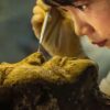 Mysteries of the Terracotta Warriors