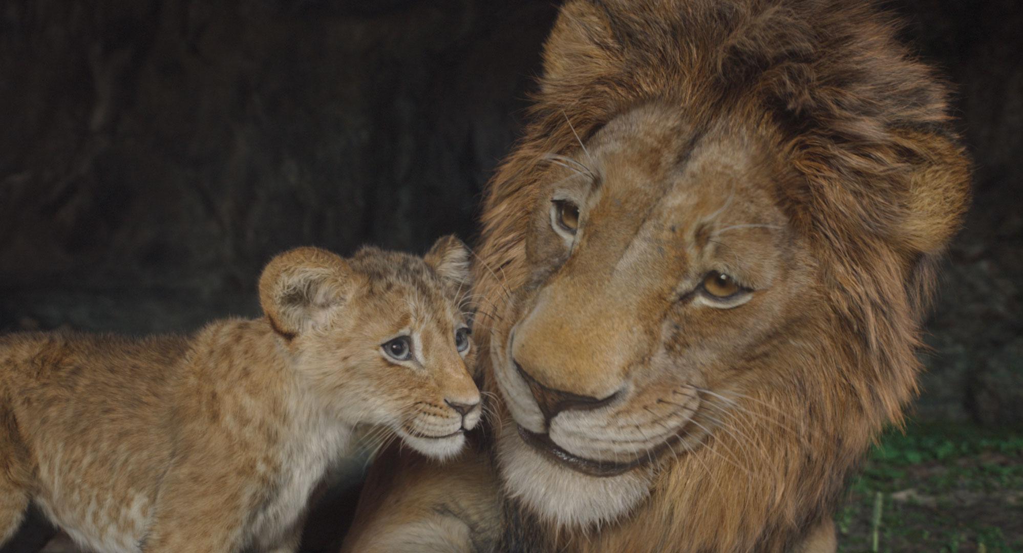 Mufasa: Der König der Löwen