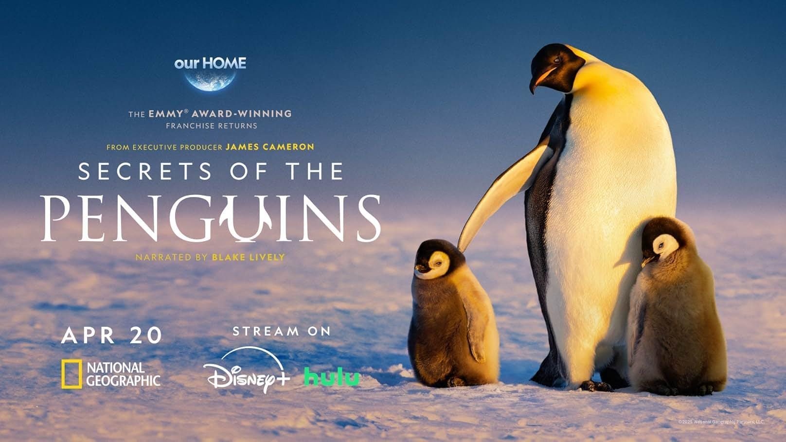Die geheimnisvolle Welt der Pinguine