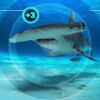 All the Sharks - Netflix