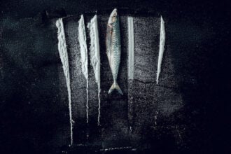 Weißes Meer: Die surreale Story von Rabo de Peixe