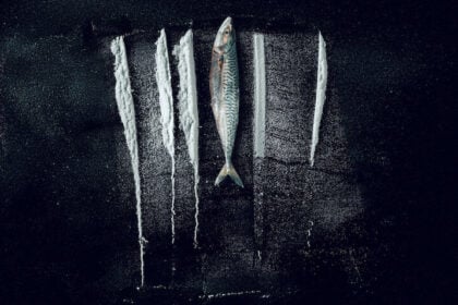 Weißes Meer: Die surreale Story von Rabo de Peixe