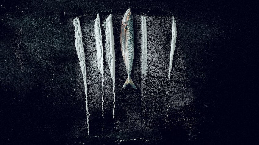 Weißes Meer: Die surreale Story von Rabo de Peixe